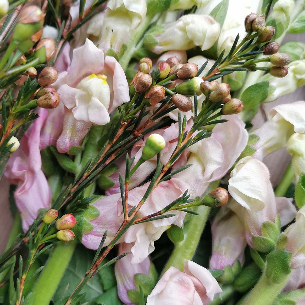 flower power in natural skincare